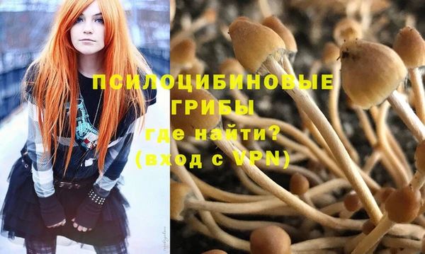 Альфа ПВП Баксан