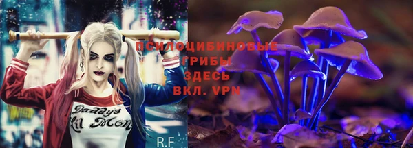 соль ск Балахна