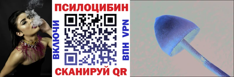Галлюциногенные грибы Cubensis  Хотьково 